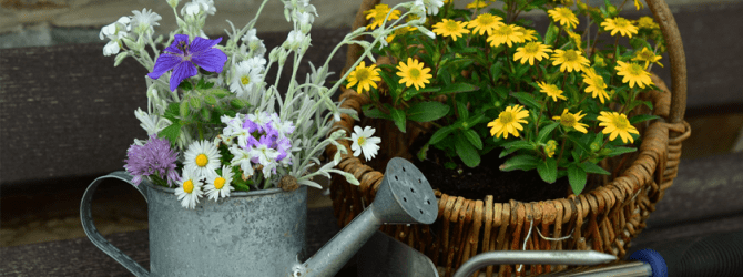 basket of flowers with gardening tools and a watering can