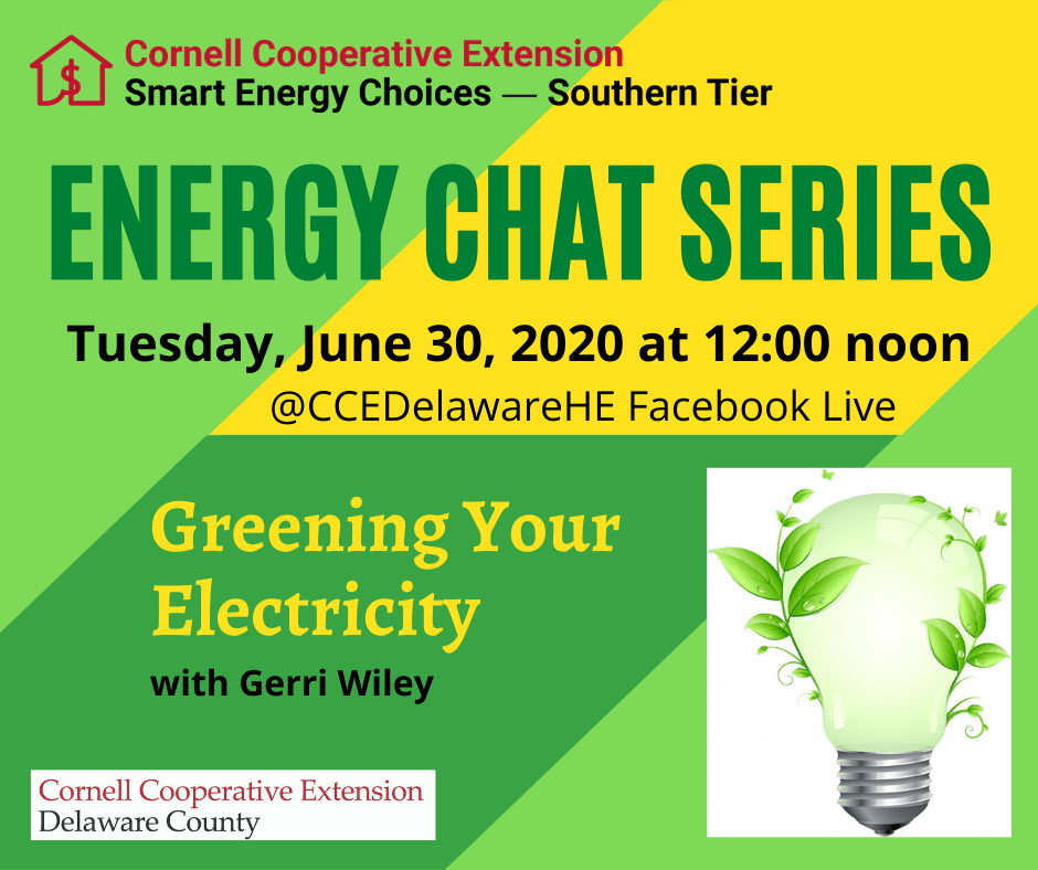 Energy Chat Series - Greening Your Electricity