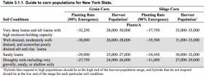 Chart of recommended corn plan populations for NY