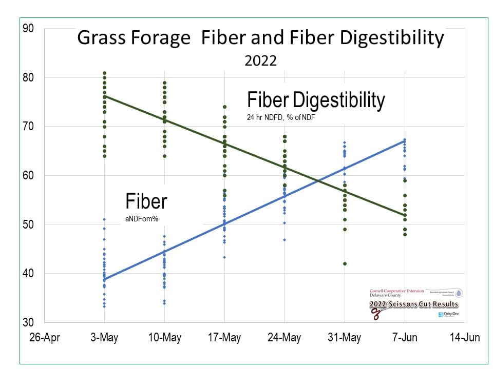 Chart showing fiber steadily increasing while fiber digestibility steadily decreases from early May through early June